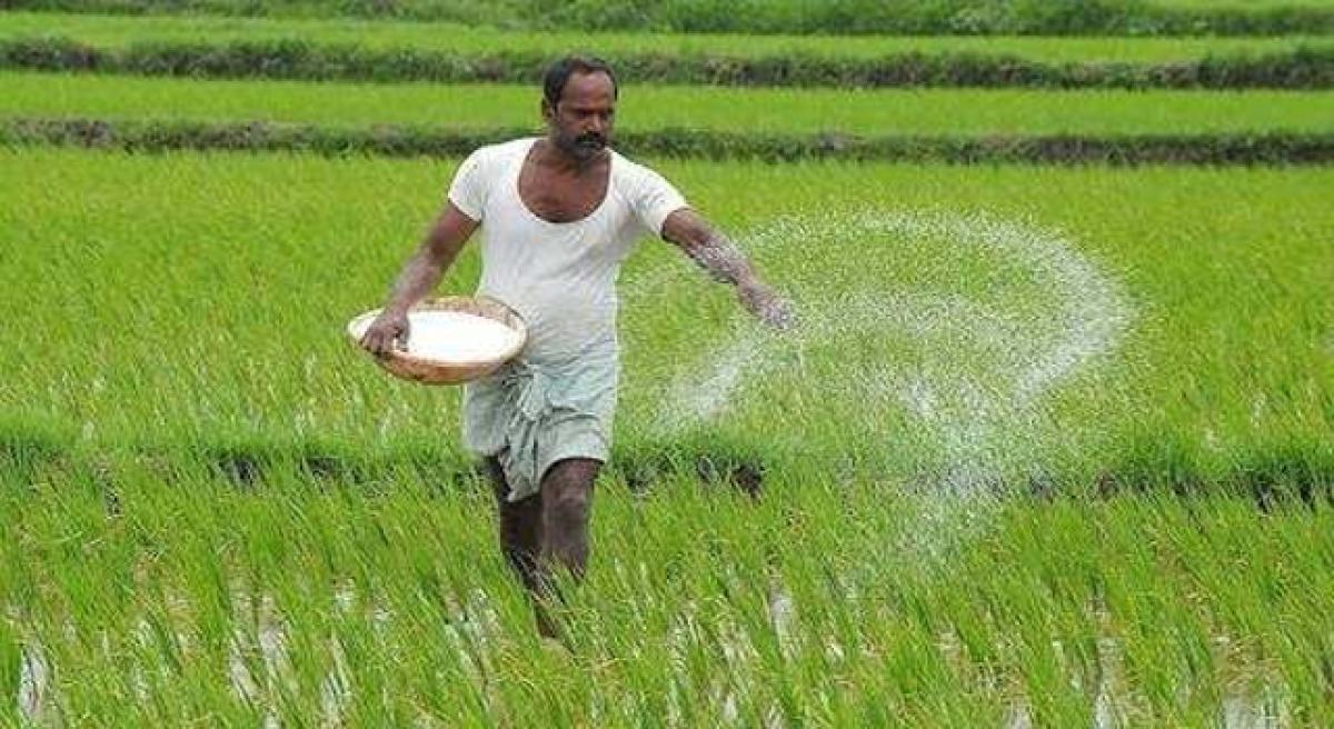 Paddy farmers face hurdles due to shortage of Paddy Procurement Centres