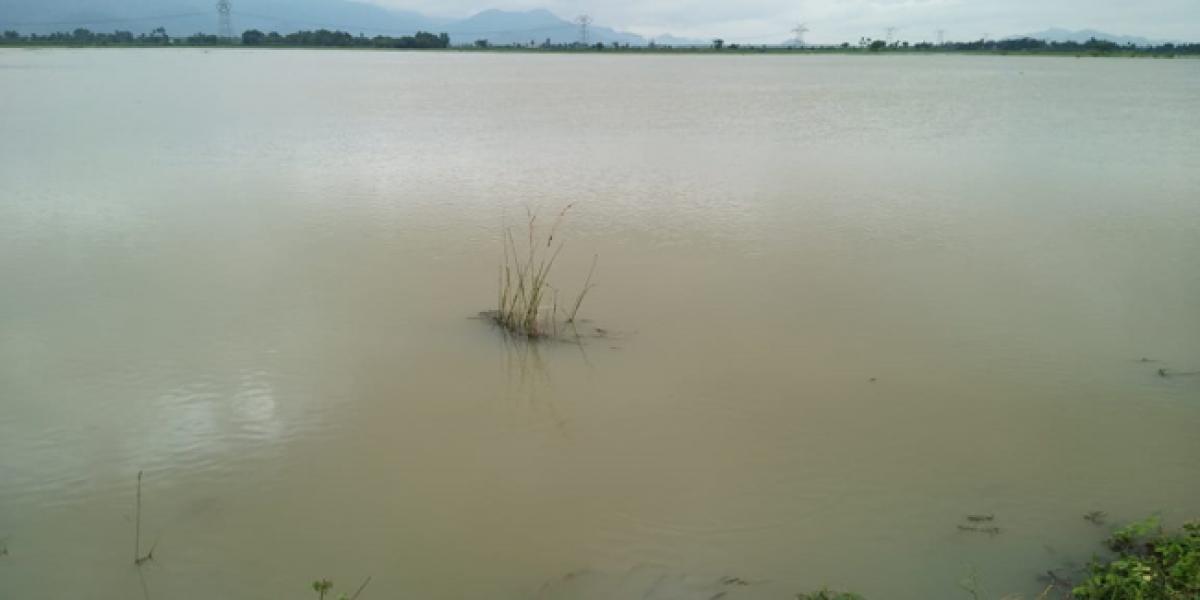 Flood alert continues in Srikakulam