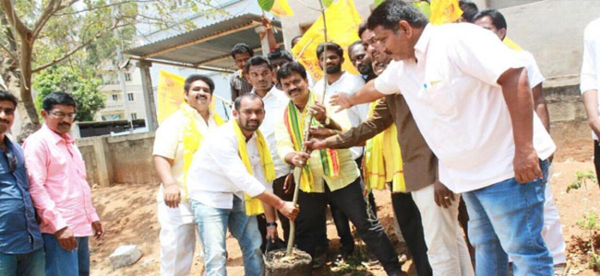 Saplings planted on CM’s birthday