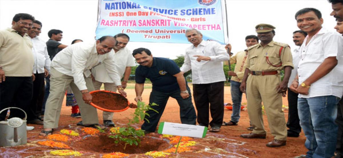 1,200 students plant saplings at RSVP