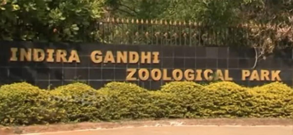 Tiger Day to be held  at  Indira Gandhi Zoological Park  today