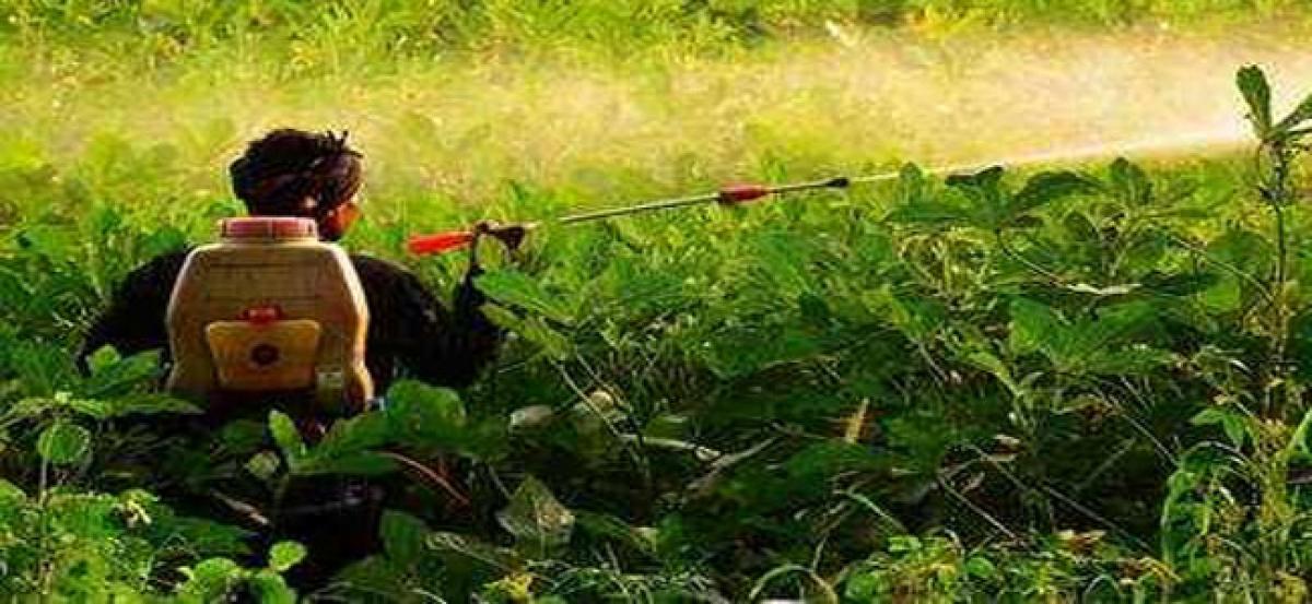 International experts suggest banning hazardous pesticides, to reduce suicide rates