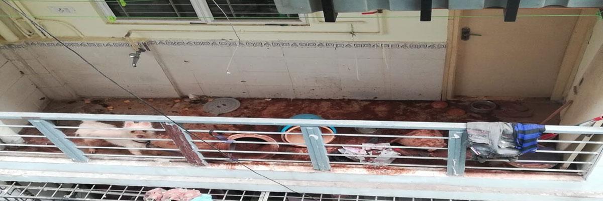 Family starves pet to death; FIR filed