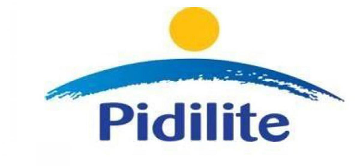 Pidilite strengthens international presence; unveils adhesive manufacturing plant in Srilanka