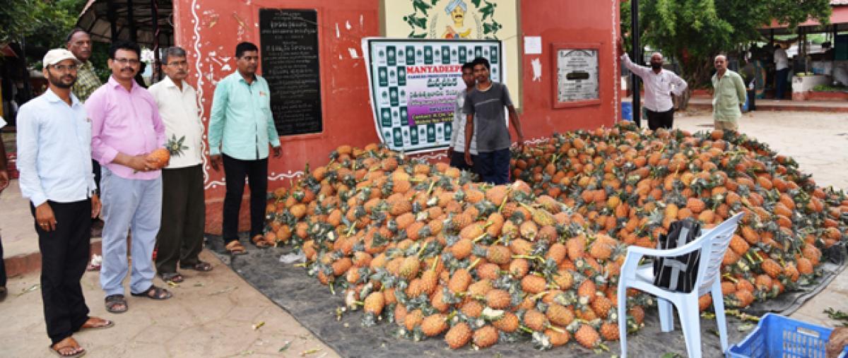 Pineapple stalls set up in Srikakulam city