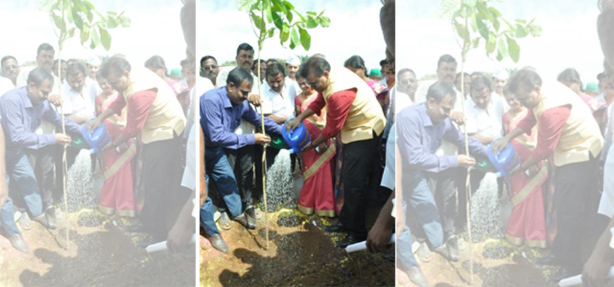 Chittoor Collector launches Palle Vanam