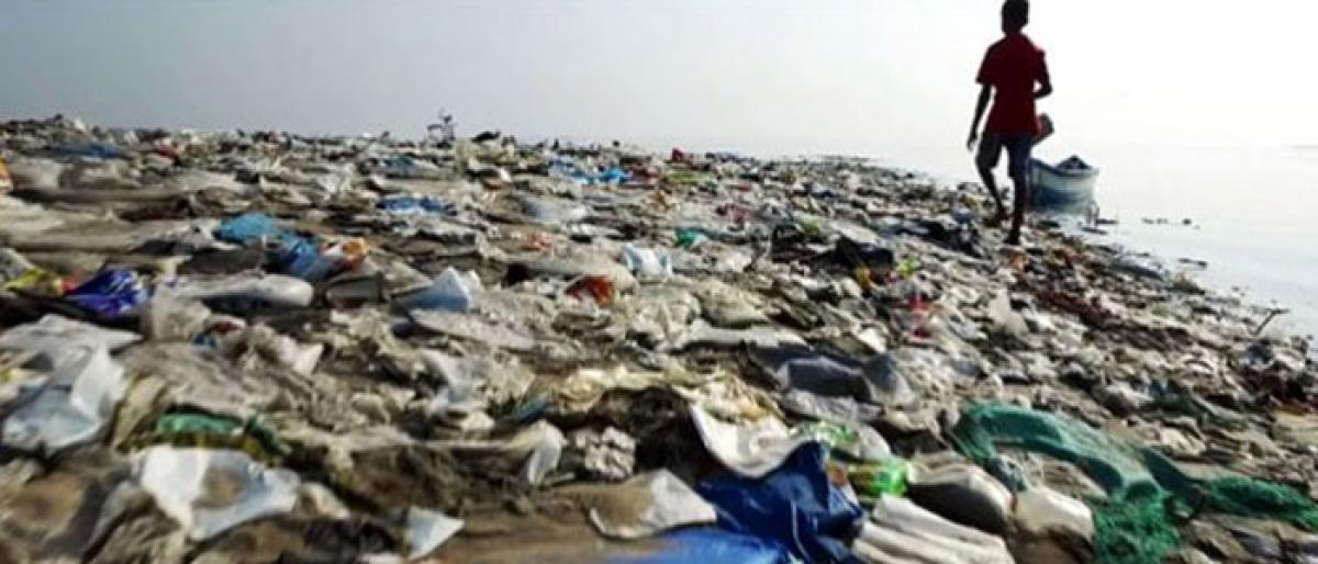 India has set example by committing to beat plastic pollution: UN