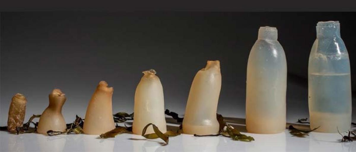 This biodegradable water bottle breaks down when it’s empty