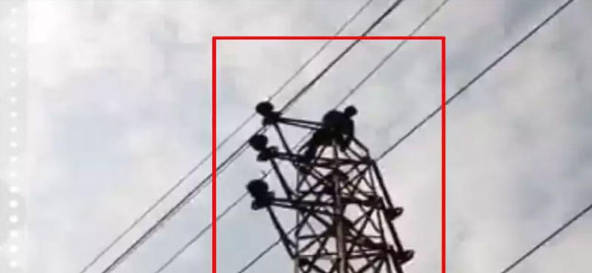 Hyderabad: Prisoner climbs atop a high-tension pole, demands suspension of policeman