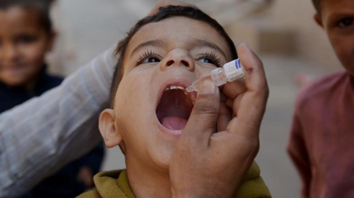 Study reveals novel patch delivers polio vaccine better than oral drops