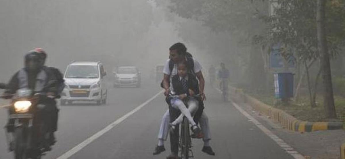 Delhi pollution: Quadruple parking fees, cut metro fares, says green body