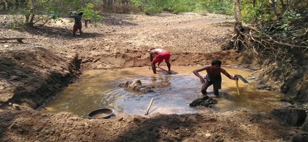 Ponds set up to quench thirst of wild animals