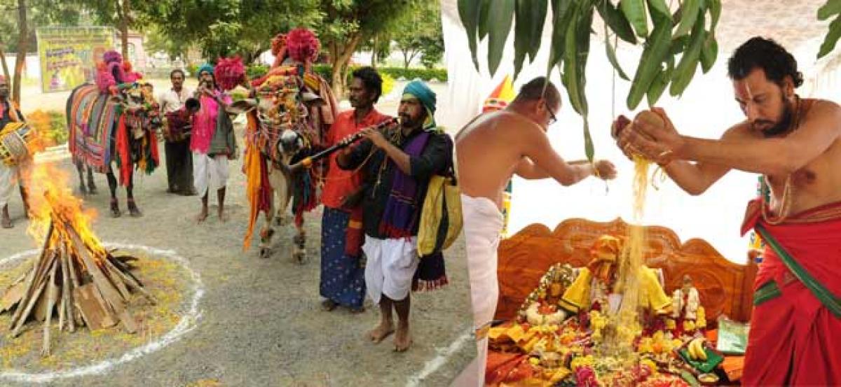 Sankranti celebrations hit the roof