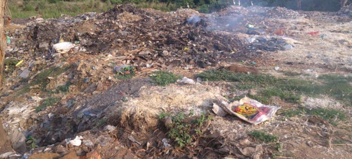 Poultry waste poses a threat to health