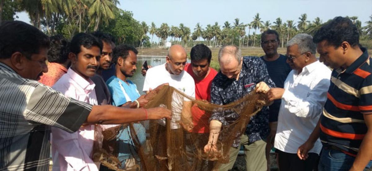 Foreign scientists inspect biofloc prawn cultivation