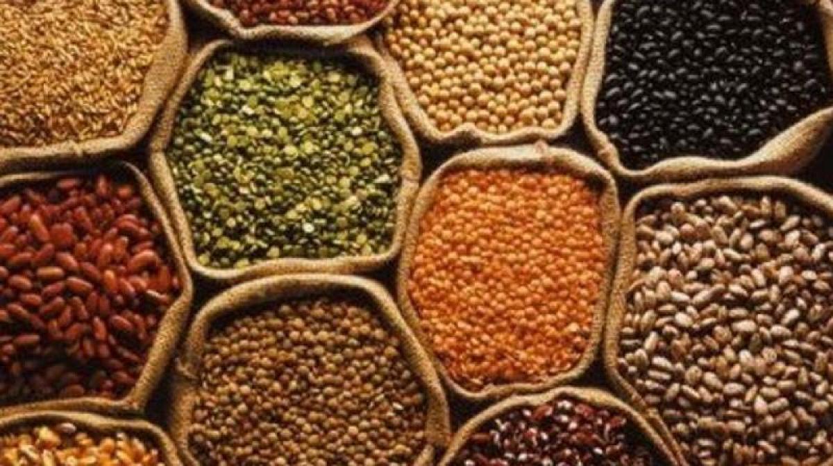 Pulses, oilseeds MSPs include bonus of Rs 100-150 a quintal