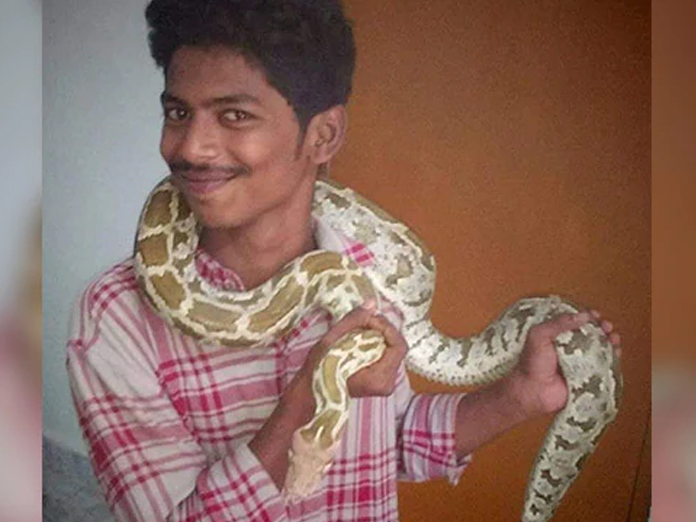 Telangana Man Poses With Python To Sell Snakes On Social Media