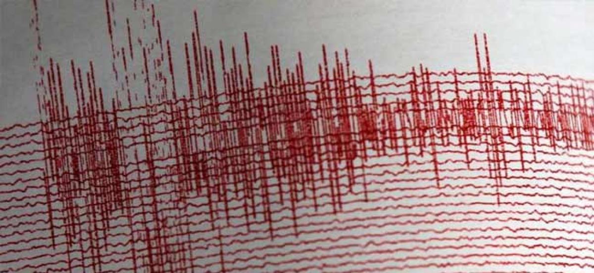 Moderate quake strikes Indonesias Sulawesi, but no tsunami threat
