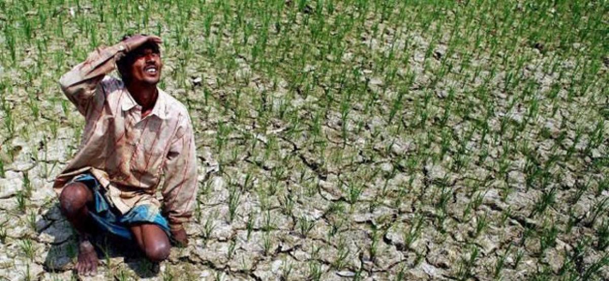 Scanty rainfall leaves Rangareddy farmers in lurch