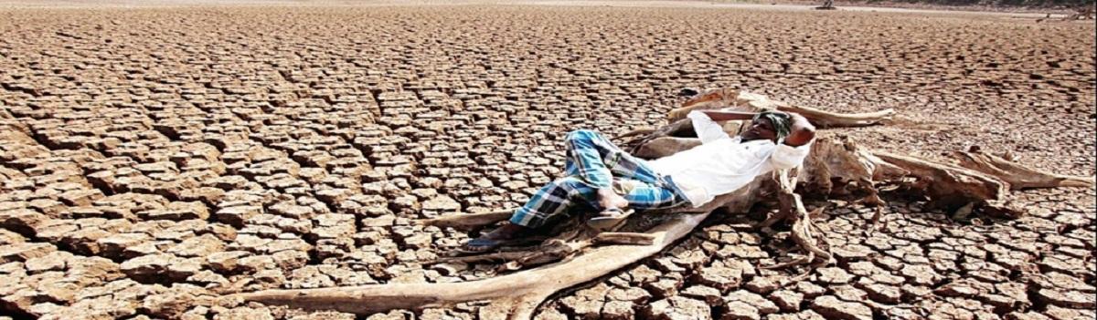 Drought hits rabi season leaving lakhs of farmers helpless
