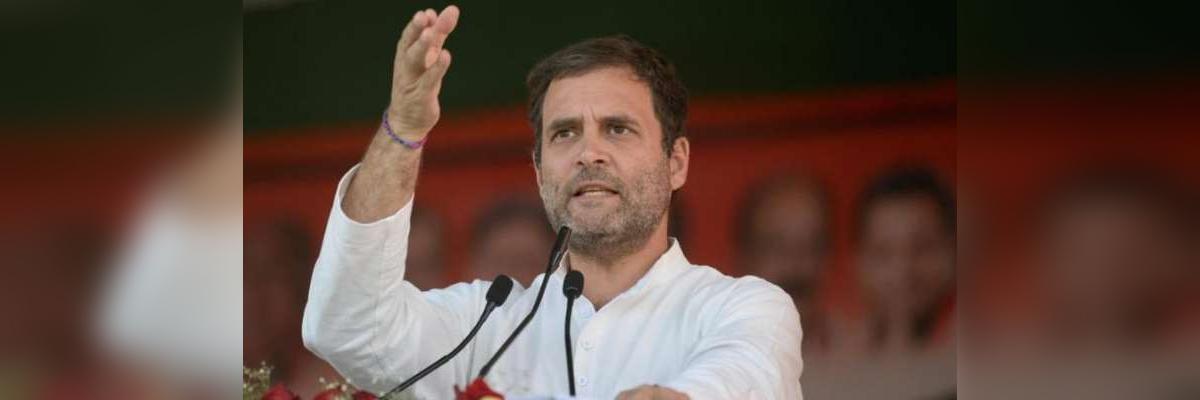 Farmers not seeking free gifts from government, says Rahul Gandhi at Delhi rally