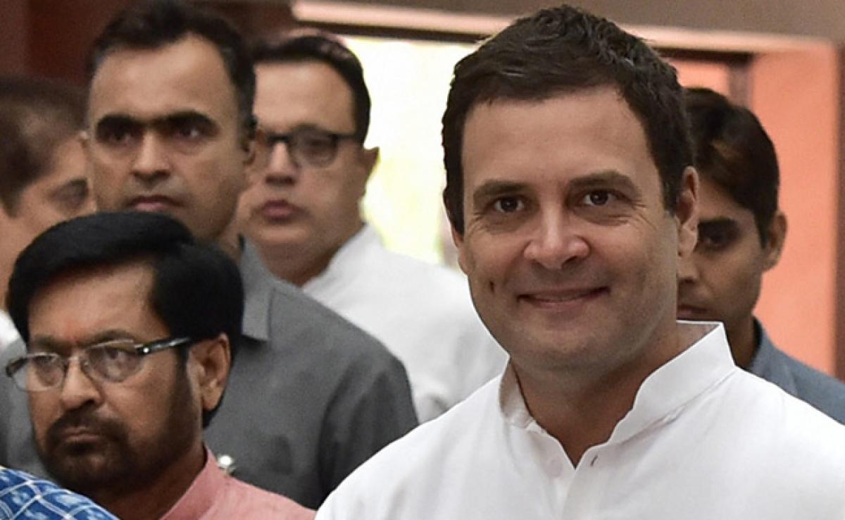 Rahul Gandhi A Parachuted Leader Imposed On Congress: Gujarat Chief Minister