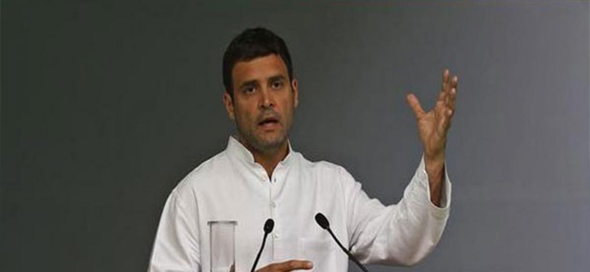 Rahul Gandhi sets up panels for Congress plenary session