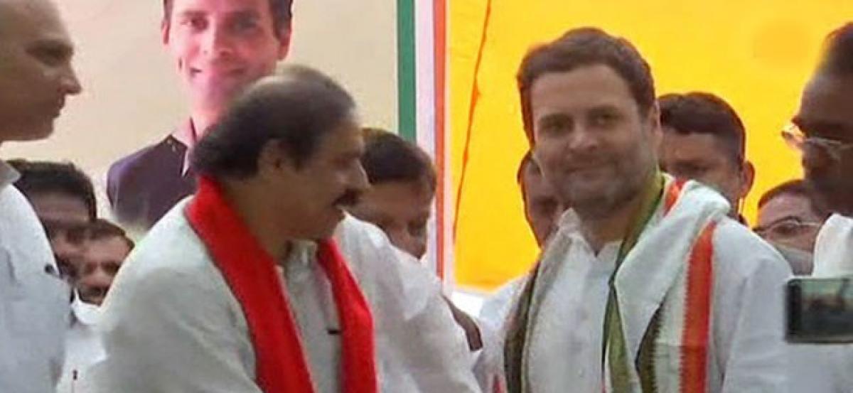 Rahul Gandhi joins TDP protest over special status in Delhi