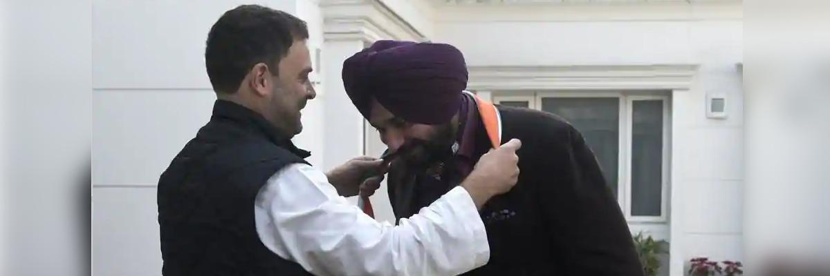 ‘Rahul bhai’ will hoist tricolour at Red Fort in near future: Navjot Sidhu