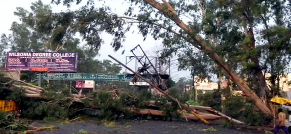 Thunderstorm kills 5 in UP, Uttarakhand