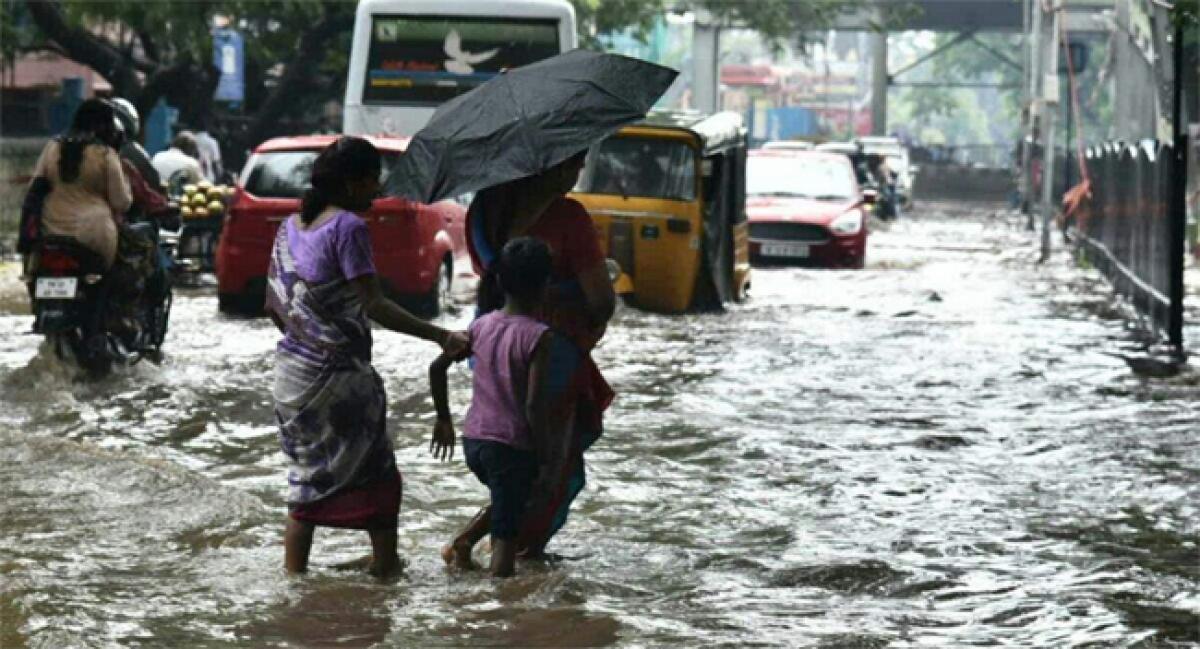 Rain hits normal life in Srikakulam