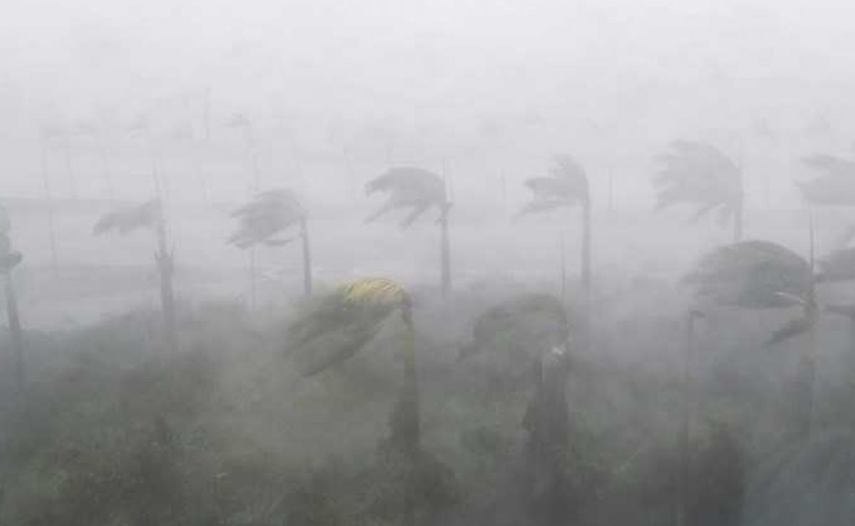 White House Social Media Chief Tweets Wrong Hurricane Video, Deletes