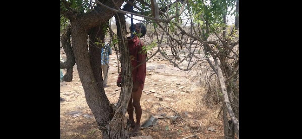 Has Dachepalli rapist committed suicide?