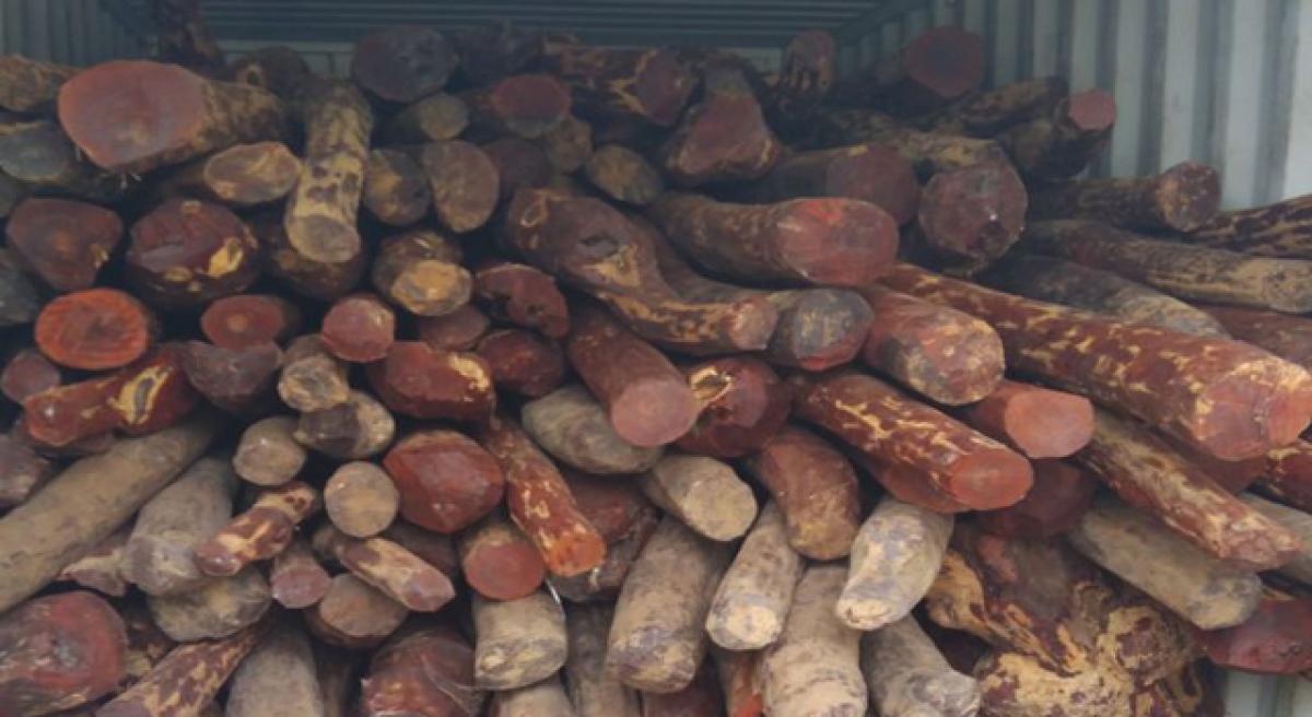 Directorate of Revenue Intelligence busts bid to smuggle 4 cr red sanders to China 