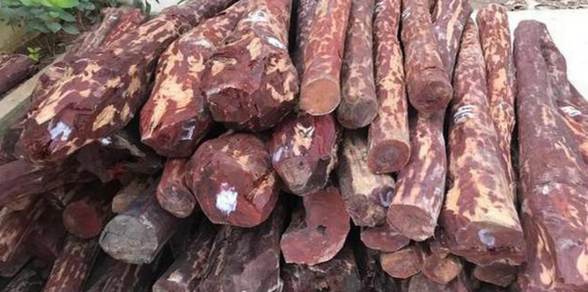 Police nab red sanders smuggler from Nepal