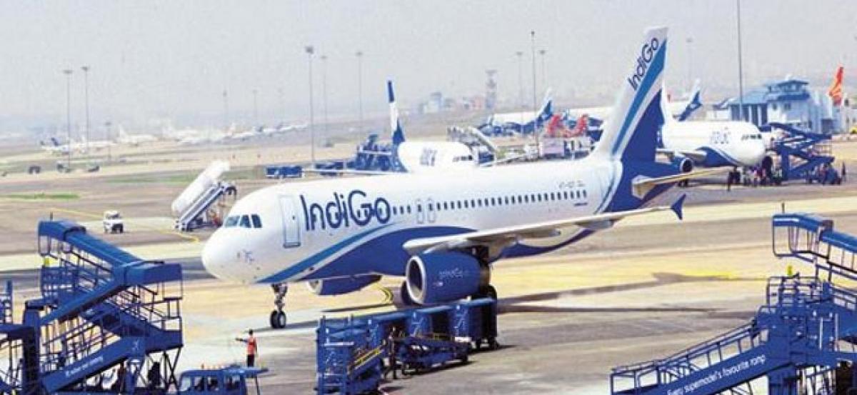 IndiGo passenger offloaded on grounds after complaining about mosquitoes