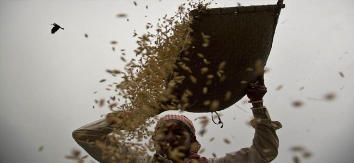 India underreported its market price support for wheat, rice: US tells WTO