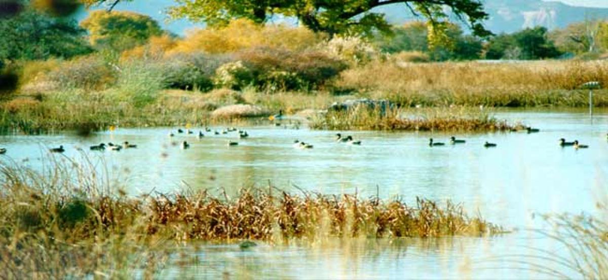 Safeguarding wetlands