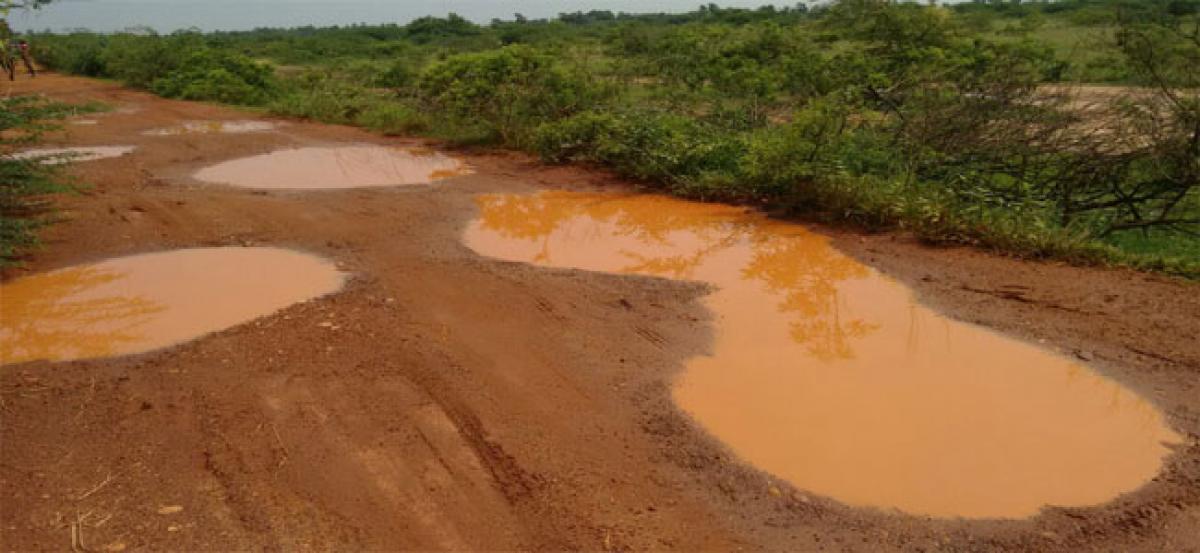 80 yr wait for 1km road in forest land