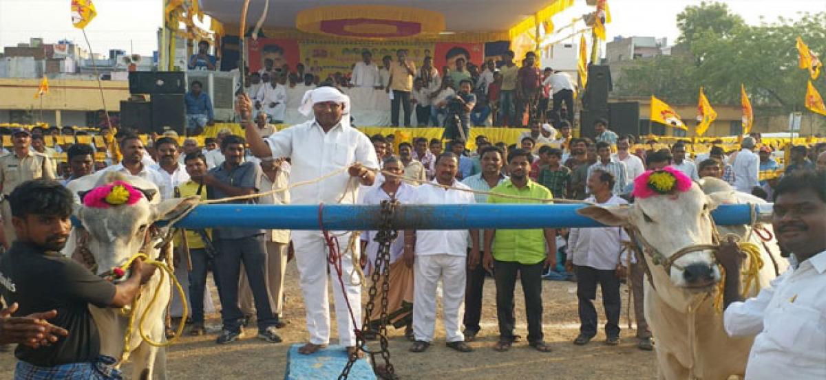 Rock-pulling race commences at Markapuram