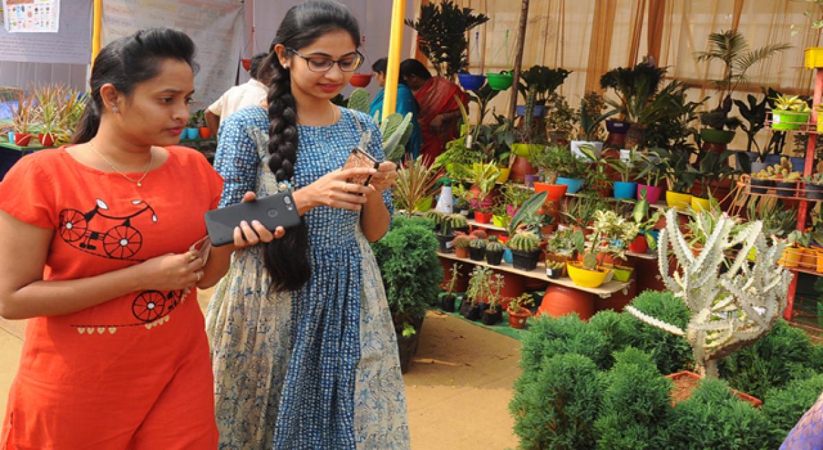 National Rose show extended till Dec 27