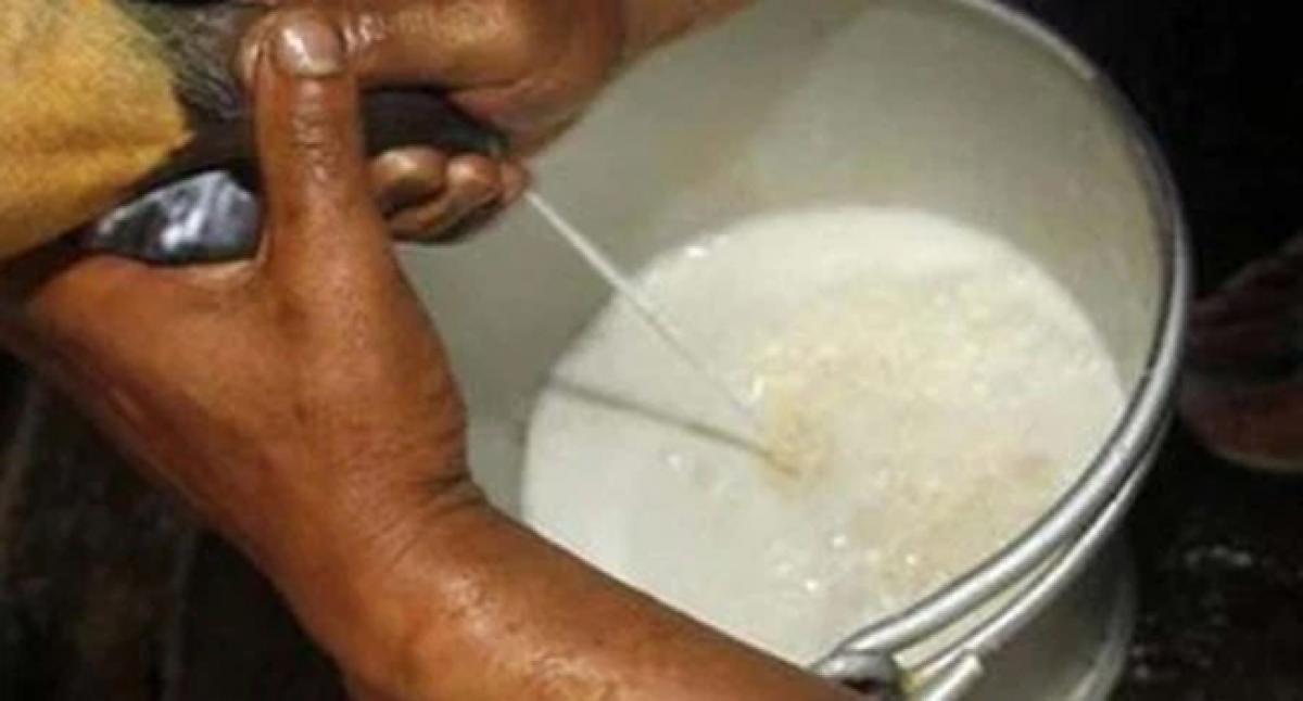 10 more sought on litre of milk for ryots