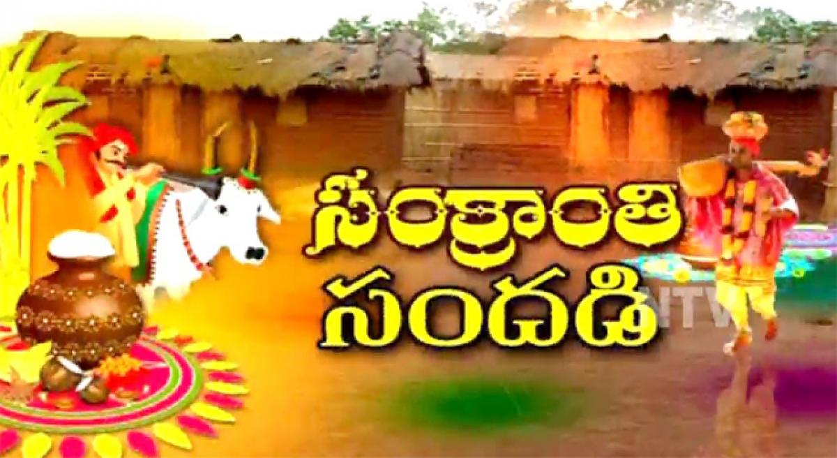 Telangana Sankranti Sandadi on Jan 11, 12