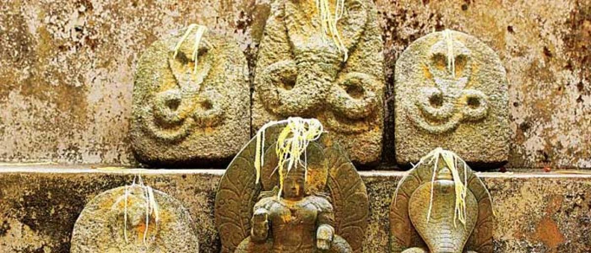 Andhra govt plans ritual to appease snake god after 100 fall victim to snakebites