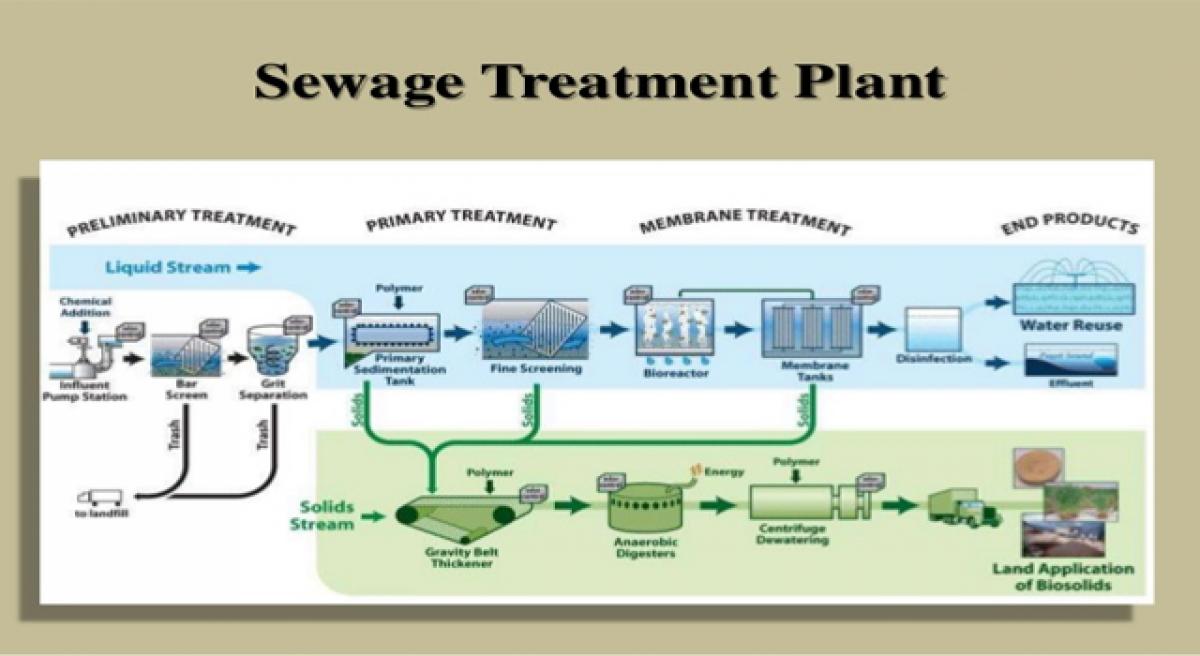 Sewage Treatment Plant will be completed by next year: Mayor