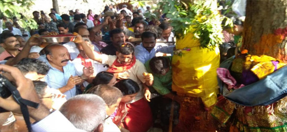 Tree selected for Sirimanu,pujas performed