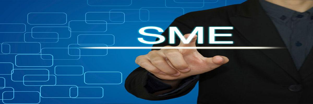 Public credit registry better for SMEs: RBI