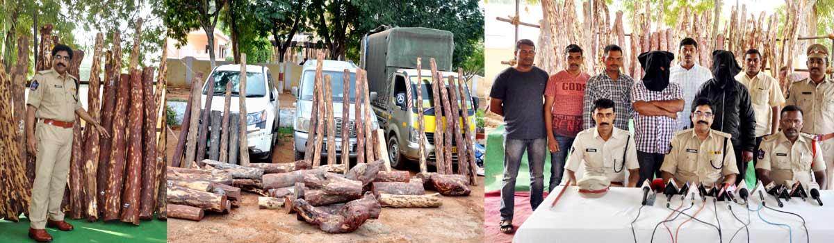 Kadapa police busted international red sander smugglers recovered Rs 5 crores worth 3 tonnes red sander