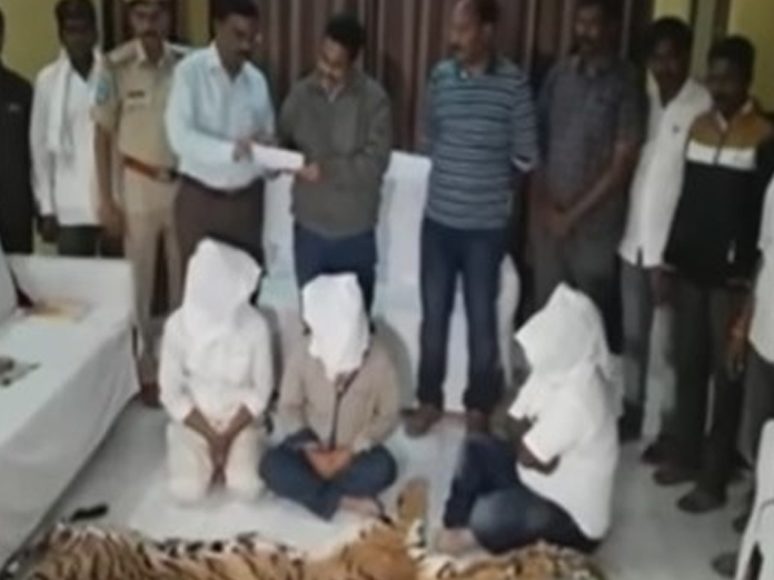 Gang held for smuggling tigers skin