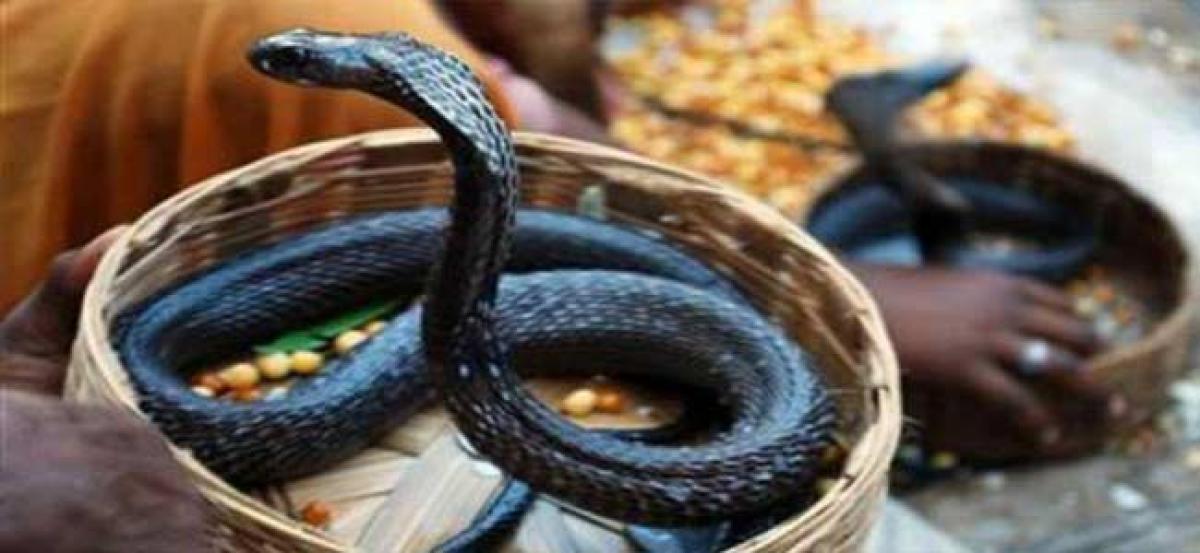 Odisha government directs to bring snakebite victims to hospitals